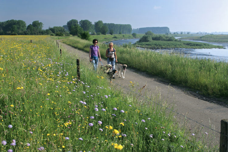 Wandelen in Limburg wandelbox streekkaarten