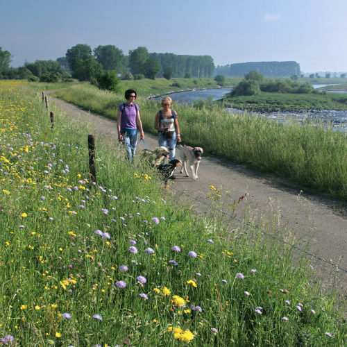 Wandelen in Limburg wandelbox streekkaarten