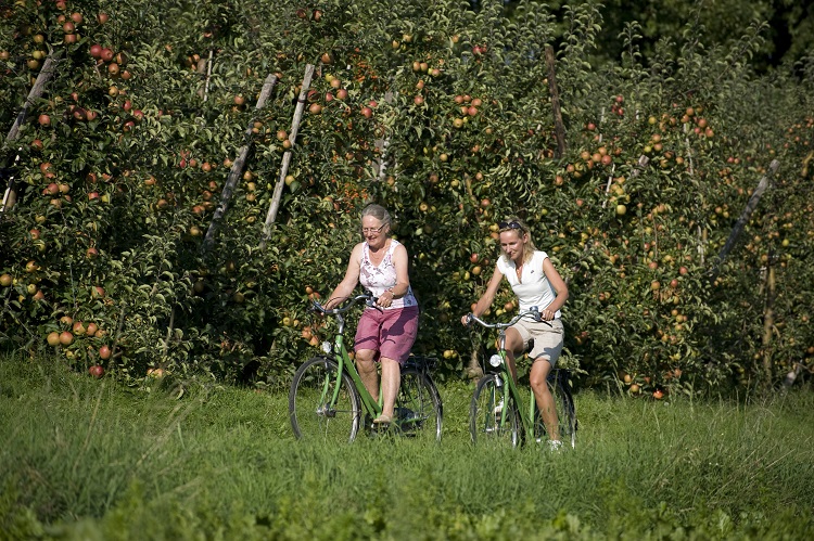 fietsers langs appelgaarden